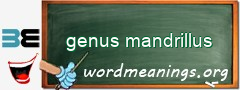 WordMeaning blackboard for genus mandrillus